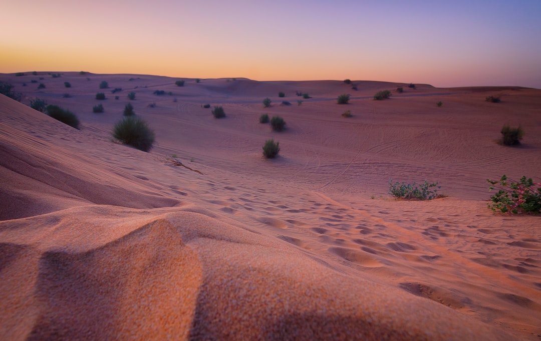 Uncovering the Mysteries of Desert Sand